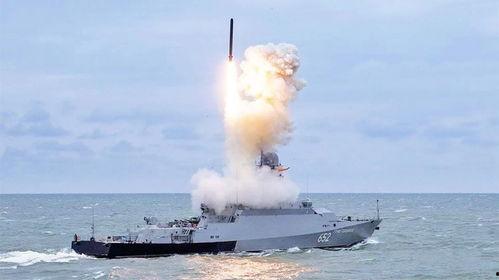 俄罗斯导弹爆料视频最新,最新爆料视频深度解析